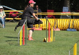 9179477-Agility-Meeting-2018 Ambiance-085