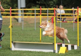 9179468-Agility-Meeting-2018 Ambiance-082