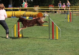 9179441-Agility-Meeting-2018 Ambiance-073