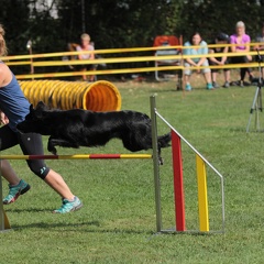9179402-Agility-Meeting-2018 Ambiance-060
