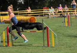 9179402-Agility-Meeting-2018 Ambiance-060