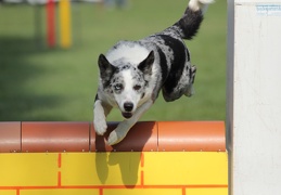 9179399-Agility-Meeting-2018 Ambiance-059
