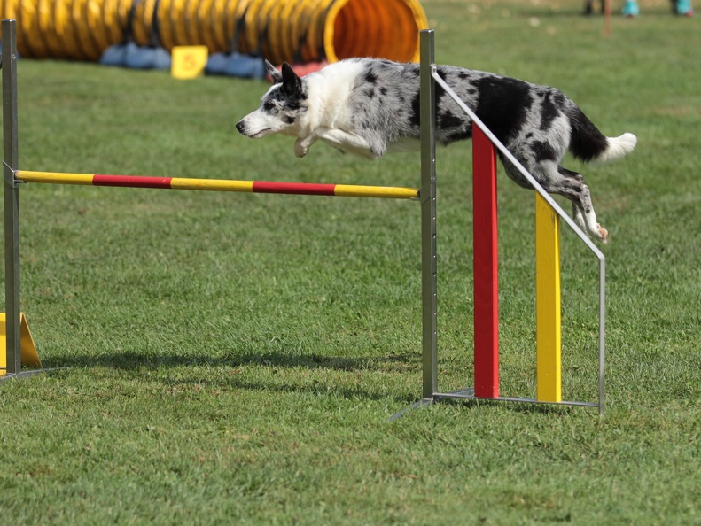 9179396-Agility-Meeting-2018 Ambiance-058