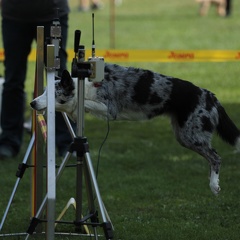9179393-Agility-Meeting-2018 Ambiance-057