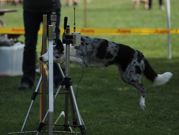9179393-Agility-Meeting-2018 Ambiance-057
