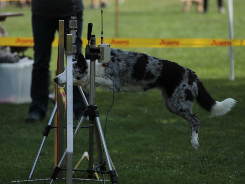 9179393-Agility-Meeting-2018 Ambiance-057