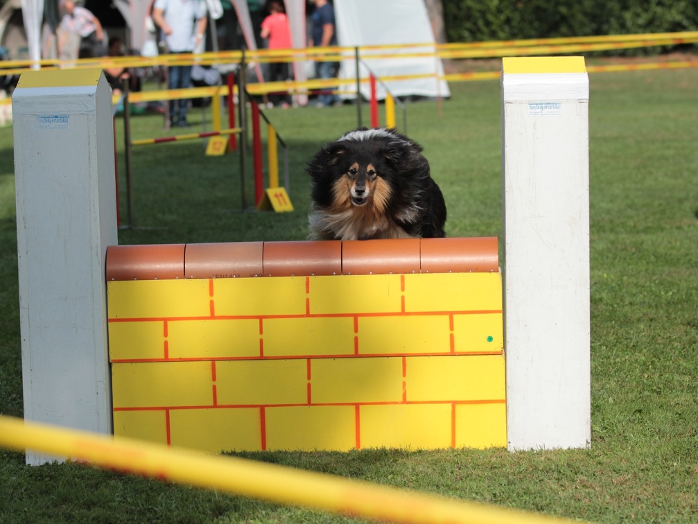 9179390-Agility-Meeting-2018 Ambiance-056