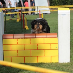 9179390-Agility-Meeting-2018 Ambiance-056
