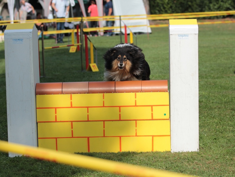9179390-Agility-Meeting-2018 Ambiance-056