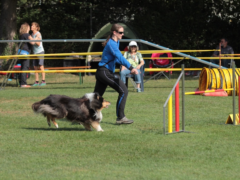 9179387-Agility-Meeting-2018 Ambiance-055