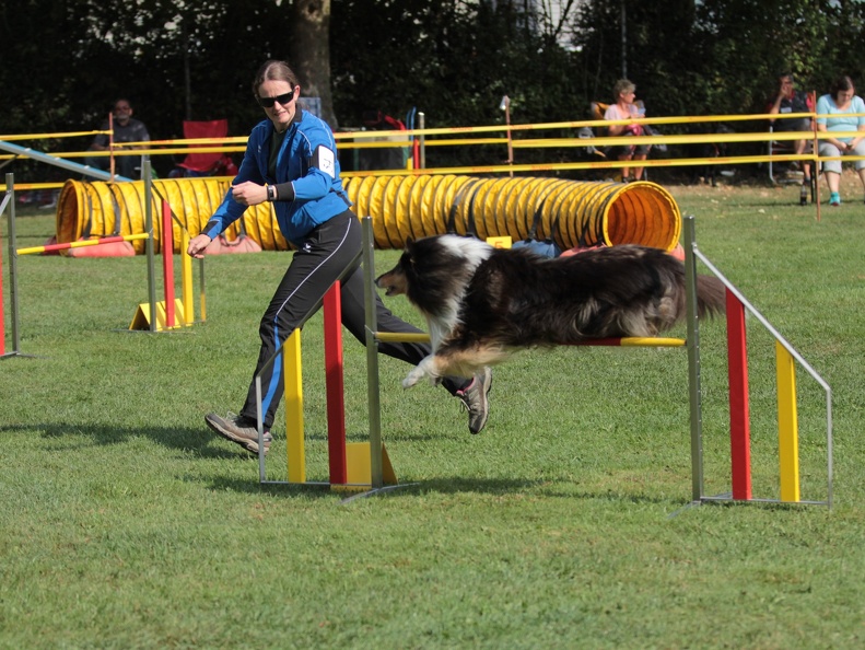 9179384-Agility-Meeting-2018 Ambiance-054