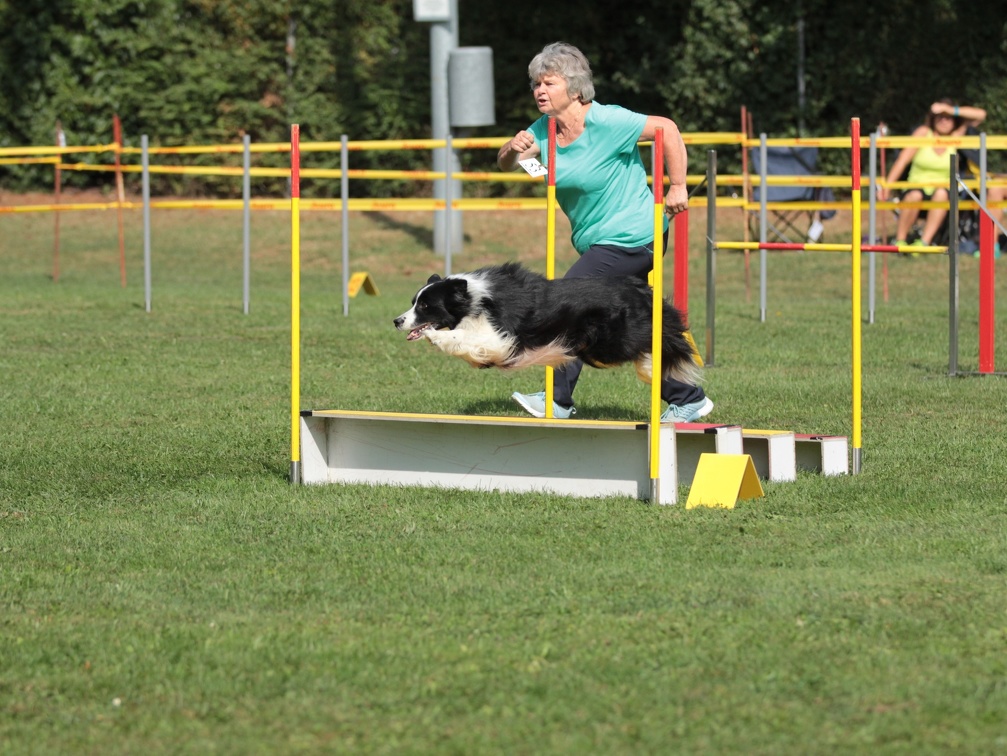 9179381-Agility-Meeting-2018 Ambiance-053