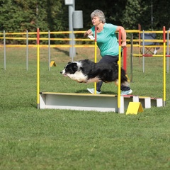 9179381-Agility-Meeting-2018 Ambiance-053
