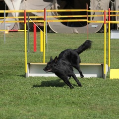 9179378-Agility-Meeting-2018 Ambiance-052
