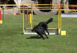 9179378-Agility-Meeting-2018 Ambiance-052