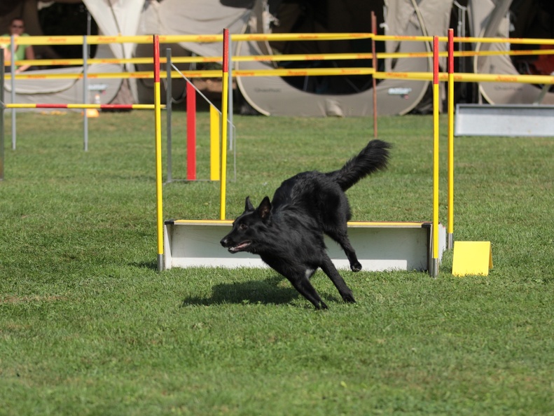 9179378-Agility-Meeting-2018 Ambiance-052