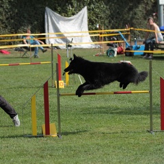 9179375-Agility-Meeting-2018 Ambiance-051