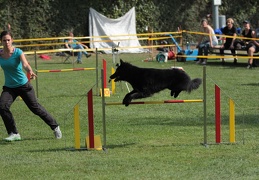 9179375-Agility-Meeting-2018 Ambiance-051