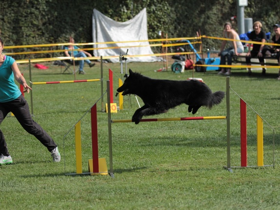 9179375-Agility-Meeting-2018 Ambiance-051