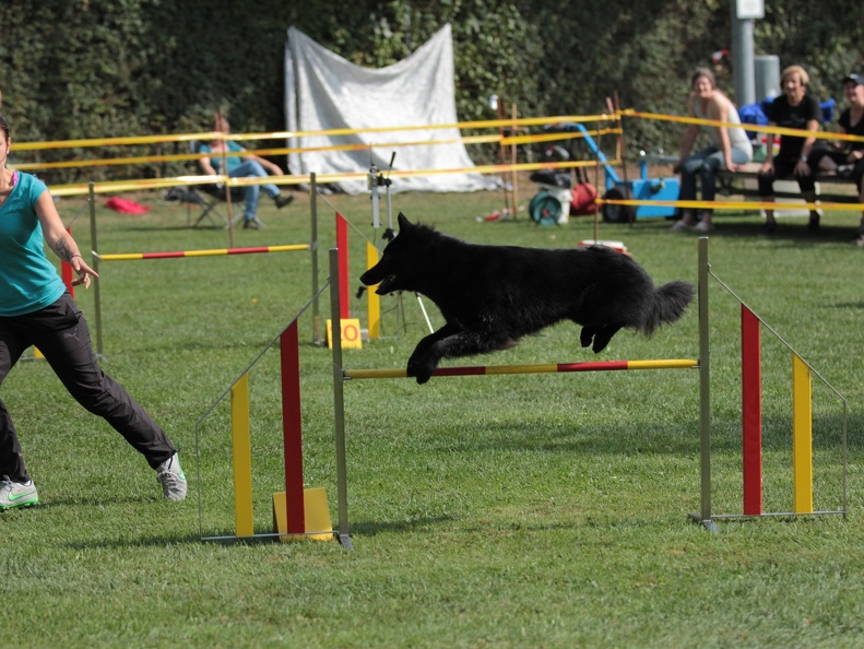 9179375-Agility-Meeting-2018 Ambiance-051