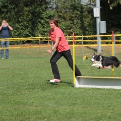 9179372-Agility-Meeting-2018 Ambiance-050