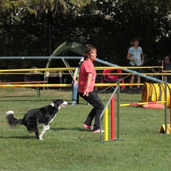 9179369-Agility-Meeting-2018 Ambiance-049