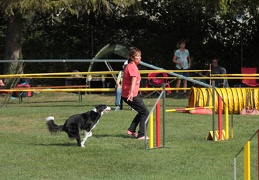 9179369-Agility-Meeting-2018 Ambiance-049