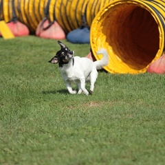 9179366-Agility-Meeting-2018 Ambiance-048