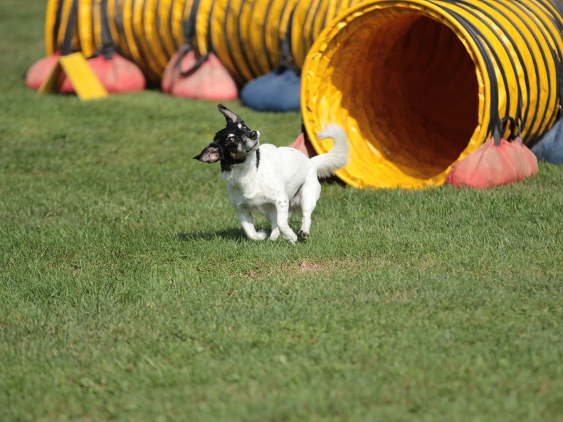9179366-Agility-Meeting-2018 Ambiance-048