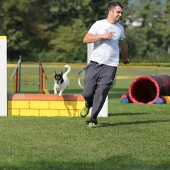 9179363-Agility-Meeting-2018 Ambiance-047
