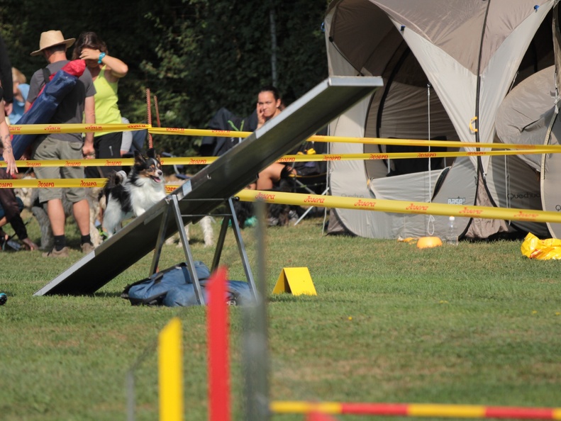 9179360-Agility-Meeting-2018 Ambiance-046